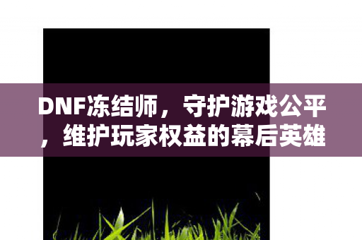 DNF冻结师，守护游戏公平，维护玩家权益的幕后英雄