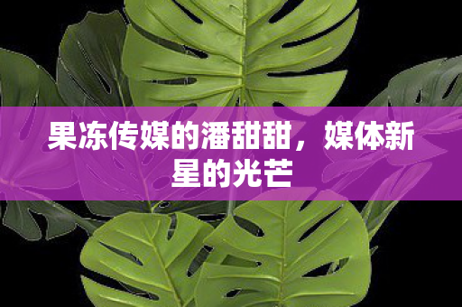 果冻传媒的潘甜甜，媒体新星的光芒