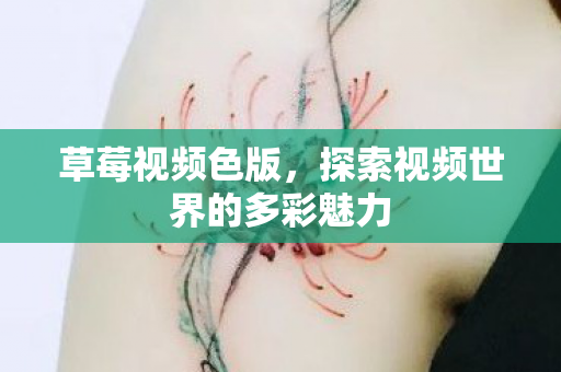 草莓视频色版，探索视频世界的多彩魅力