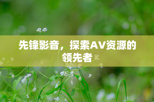 先锋影音，探索AV资源的领先者