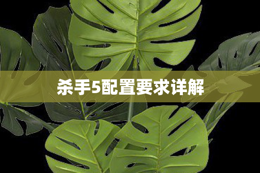 杀手5配置要求详解