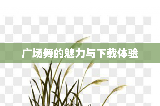 广场舞的魅力与下载体验