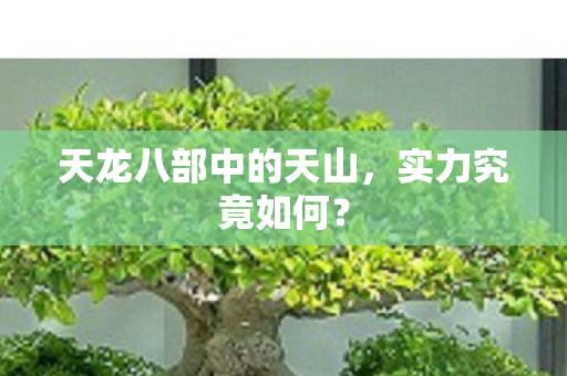 天龙八部中的天山，实力究竟如何？