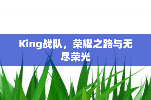 King战队，荣耀之路与无尽荣光