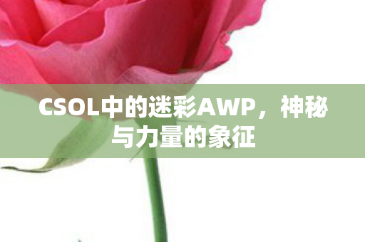 CSOL中的迷彩AWP，神秘与力量的象征