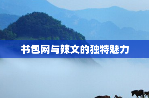 书包网与辣文的独特魅力