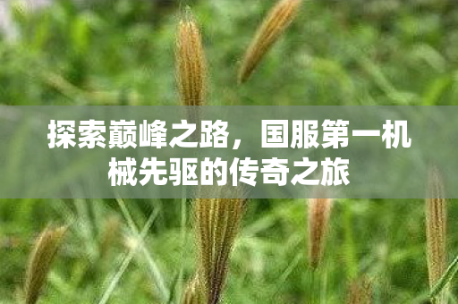 探索巅峰之路，国服第一机械先驱的传奇之旅