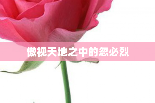 傲视天地之中的忽必烈