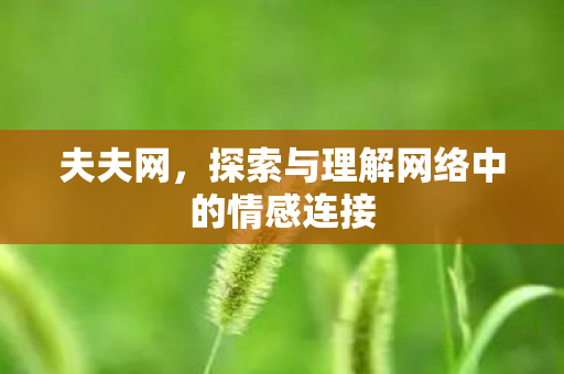 夫夫网，探索与理解网络中的情感连接
