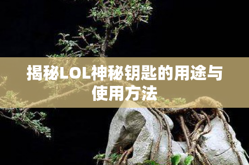 揭秘LOL神秘钥匙的用途与使用方法