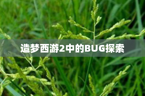 造梦西游2中的BUG探索