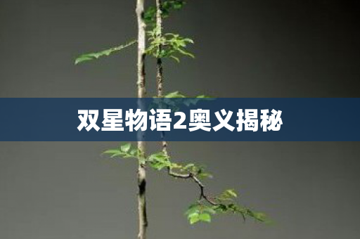 双星物语2奥义揭秘