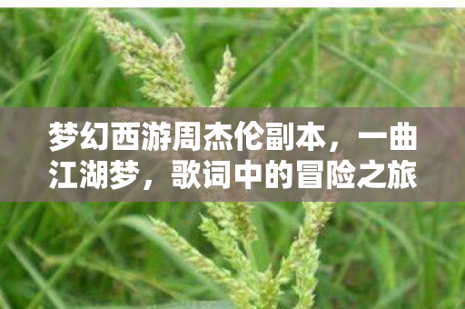 梦幻西游周杰伦副本，一曲江湖梦，歌词中的冒险之旅