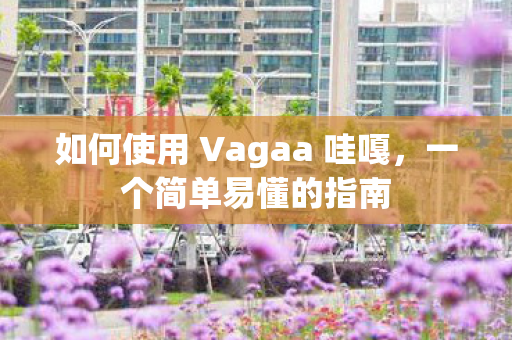 如何使用 Vagaa 哇嘎，一个简单易懂的指南