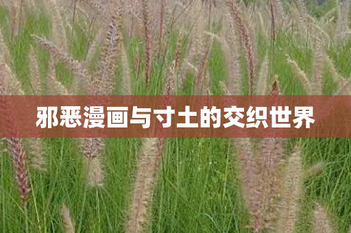 邪恶漫画与寸土的交织世界