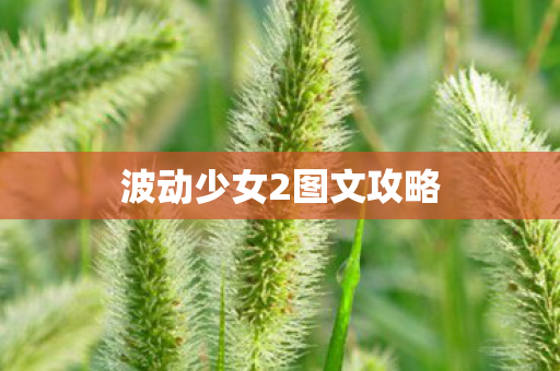 波动少女2图文攻略