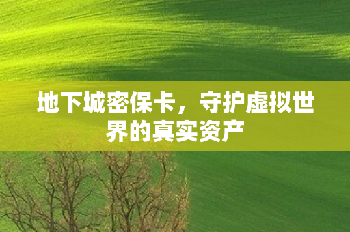地下城密保卡，守护虚拟世界的真实资产