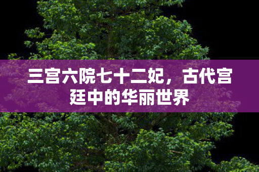 三宫六院七十二妃，古代宫廷中的华丽世界