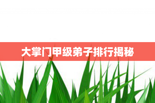 大掌门甲级弟子排行揭秘