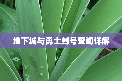 地下城与勇士封号查询详解