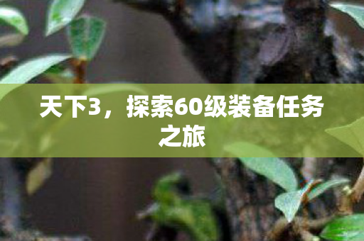天下3，探索60级装备任务之旅