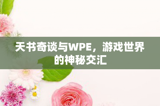 天书奇谈与WPE，游戏世界的神秘交汇