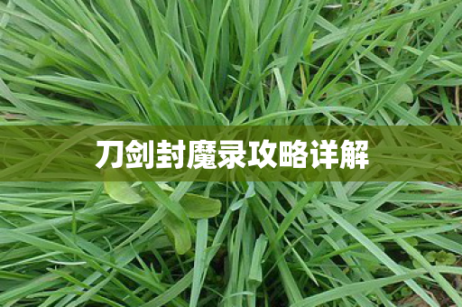 刀剑封魔录攻略详解