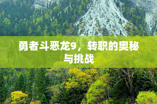勇者斗恶龙9，转职的奥秘与挑战
