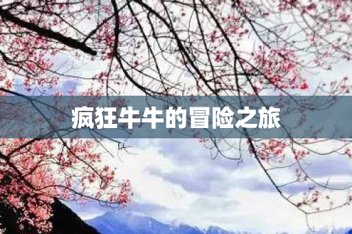 疯狂牛牛的冒险之旅