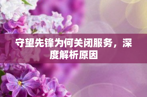 守望先锋为何关闭服务，深度解析原因