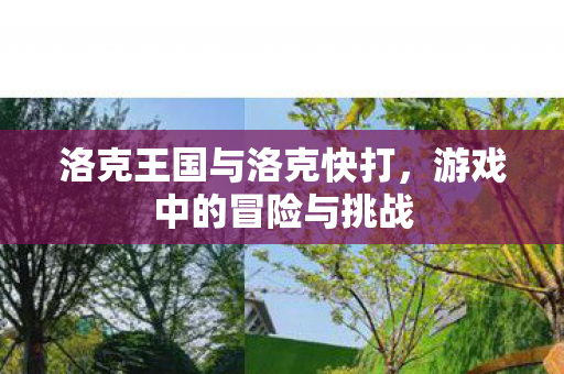 洛克王国与洛克快打，游戏中的冒险与挑战