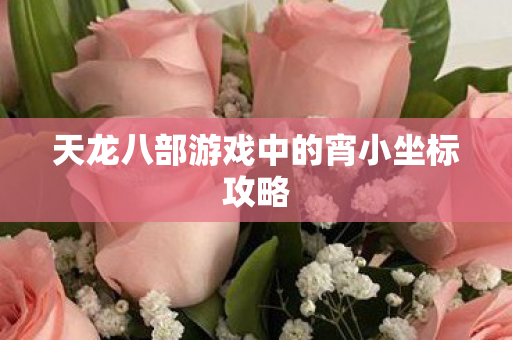 天龙八部游戏中的宵小坐标攻略