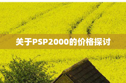 关于PSP2000的价格探讨