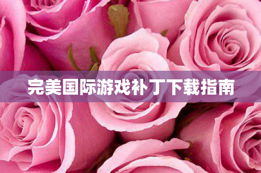 完美国际游戏补丁下载指南