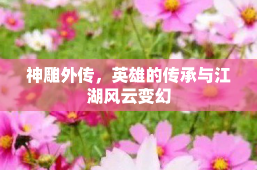 神雕外传，英雄的传承与江湖风云变幻