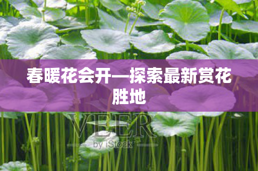 春暖花会开—探索最新赏花胜地