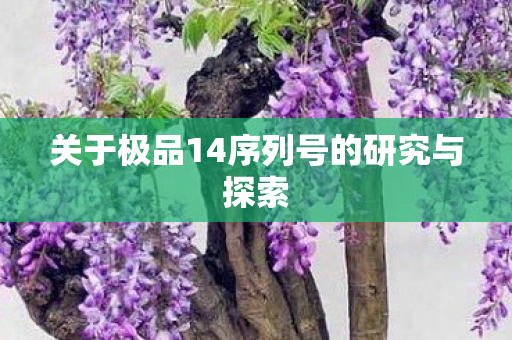 关于极品14序列号的研究与探索