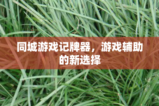 同城游戏记牌器，游戏辅助的新选择