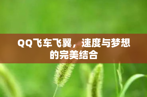 QQ飞车飞翼，速度与梦想的完美结合
