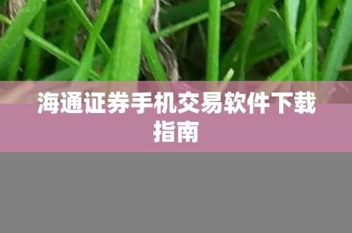海通证券手机交易软件下载指南