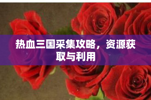 热血三国采集攻略，资源获取与利用