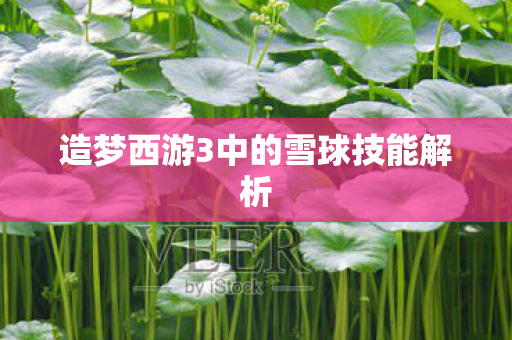 造梦西游3中的雪球技能解析