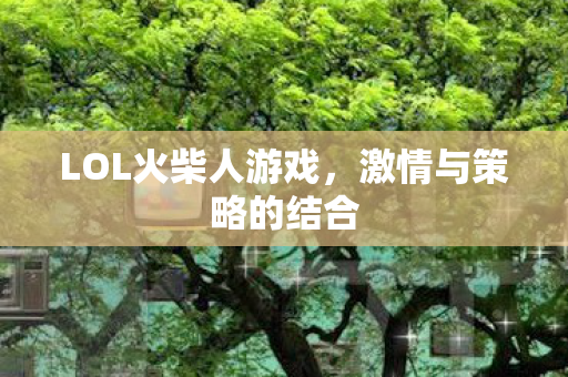LOL火柴人游戏，激情与策略的结合