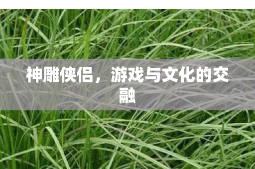 神雕侠侣，游戏与文化的交融