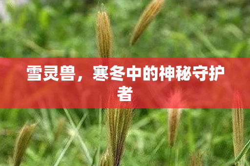 雪灵兽，寒冬中的神秘守护者