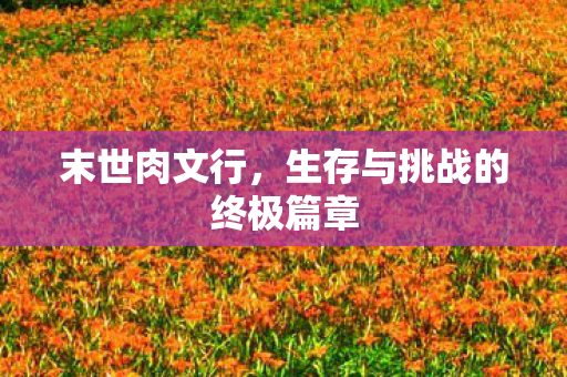 末世肉文行，生存与挑战的终极篇章