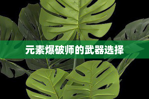 元素爆破师的武器选择