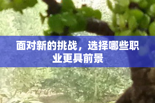面对新的挑战，选择哪些职业更具前景