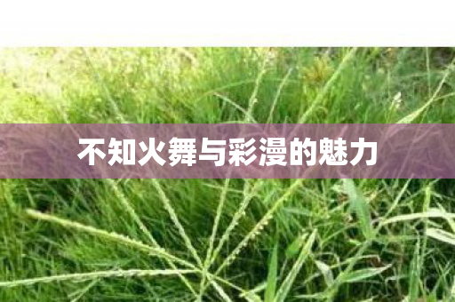 不知火舞与彩漫的魅力