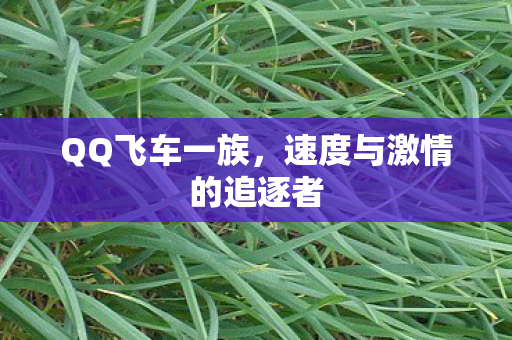 QQ飞车一族，速度与激情的追逐者